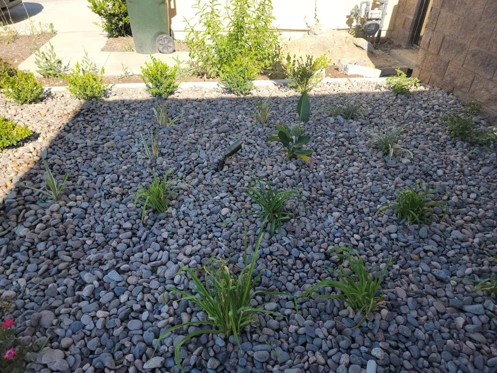 Reliable yard maintenance experts serving Ontario, CA - Cruz Landscaping