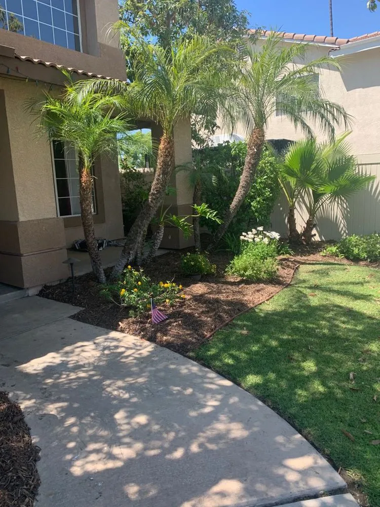 Reliable landscape installation for outdoor upgrades across Ontario, CA - Cruz Landscaping