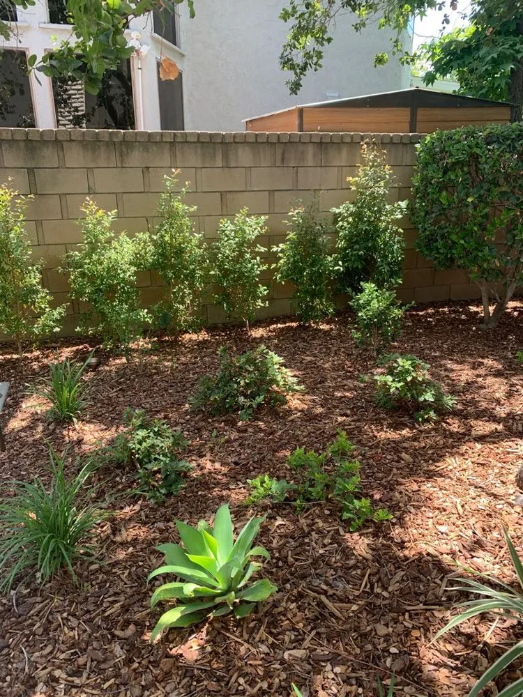 Trusted residential landscaping in Ontario, CA - Cruz Landscaping