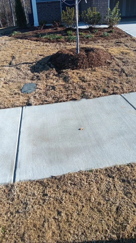 Expert outdoor landscaping in Raleigh, NC - Cruz Landscaping