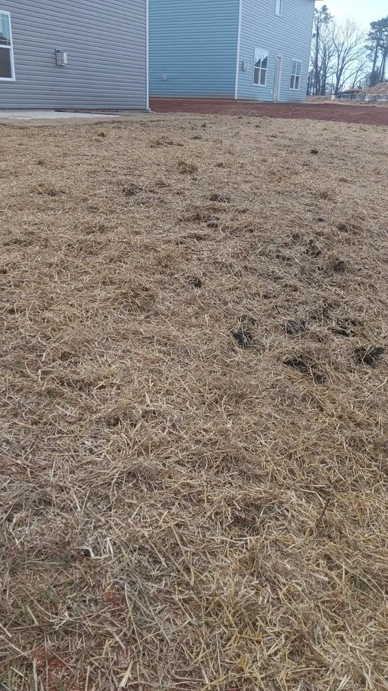 Affordable outdoor landscaping for homes across Raleigh, NC - Cruz Landscaping