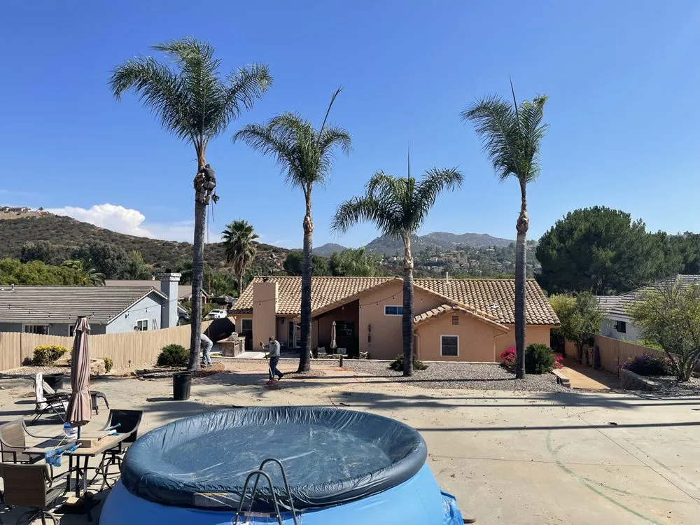 Affordable outdoor landscaping for year-round maintenance across Ramona, CA - Cruz Landscaping