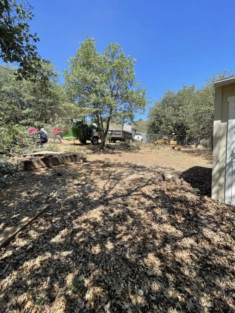 Local landscaping services experts serving Ramona, CA - Cruz Landscaping