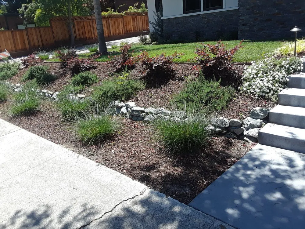 Local garden landscaping for year-round maintenance across San Jose, CA - Cruz Landscaping