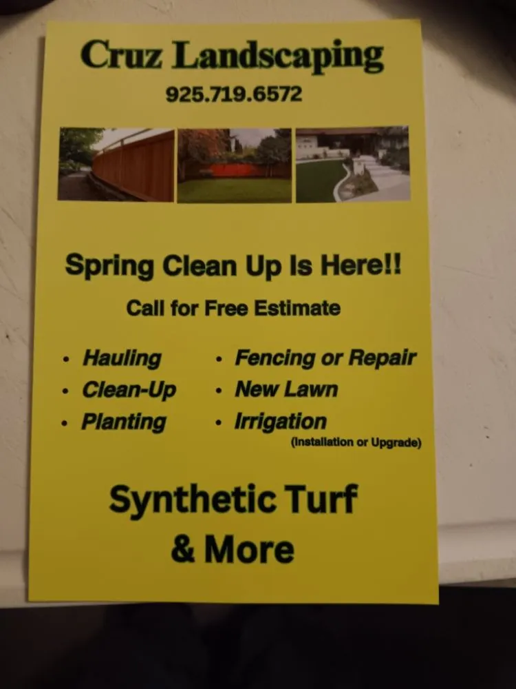 Local yard maintenance in San Leandro, CA - Cruz landscaping
