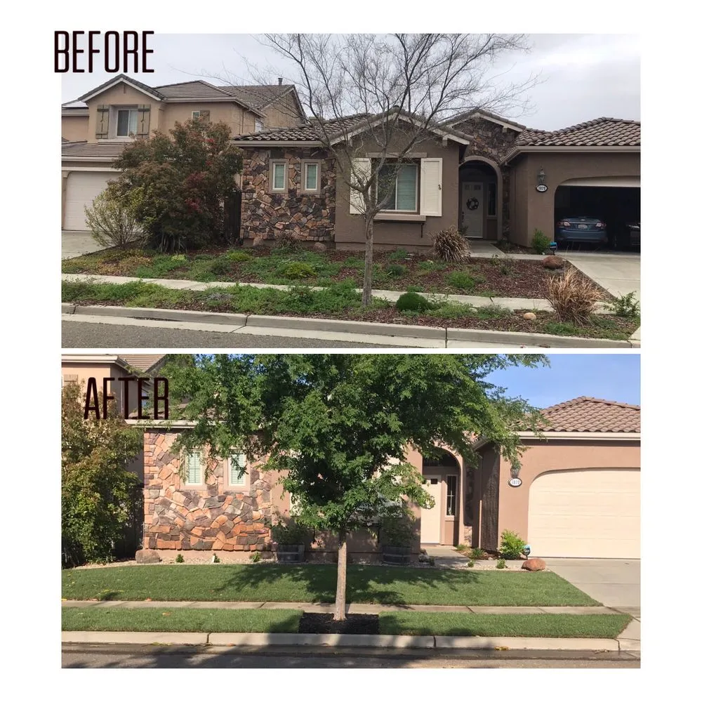 Affordable landscape installation for beautiful yards across Elverta, CA - Cruz Landscaping Services