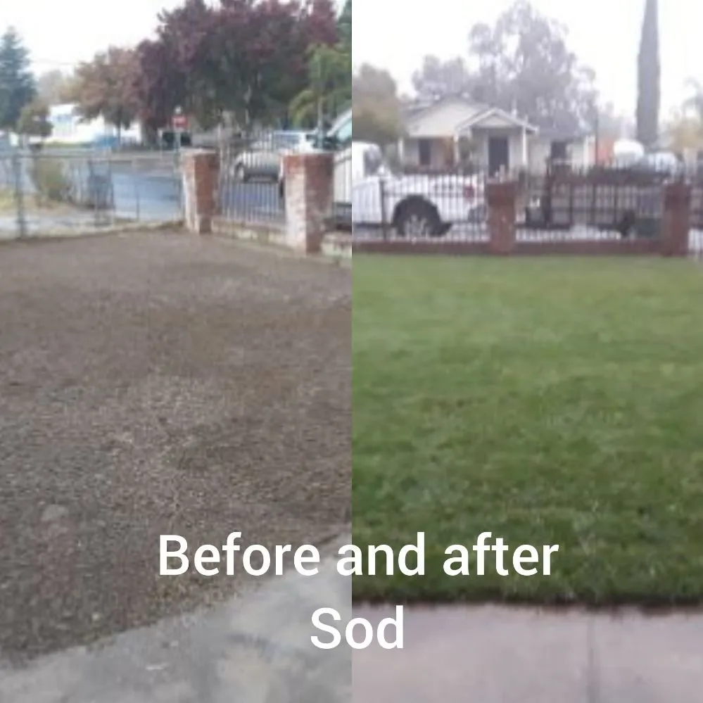 Professional residential landscaping for residential properties across Elverta, CA - Cruz Landscaping Services