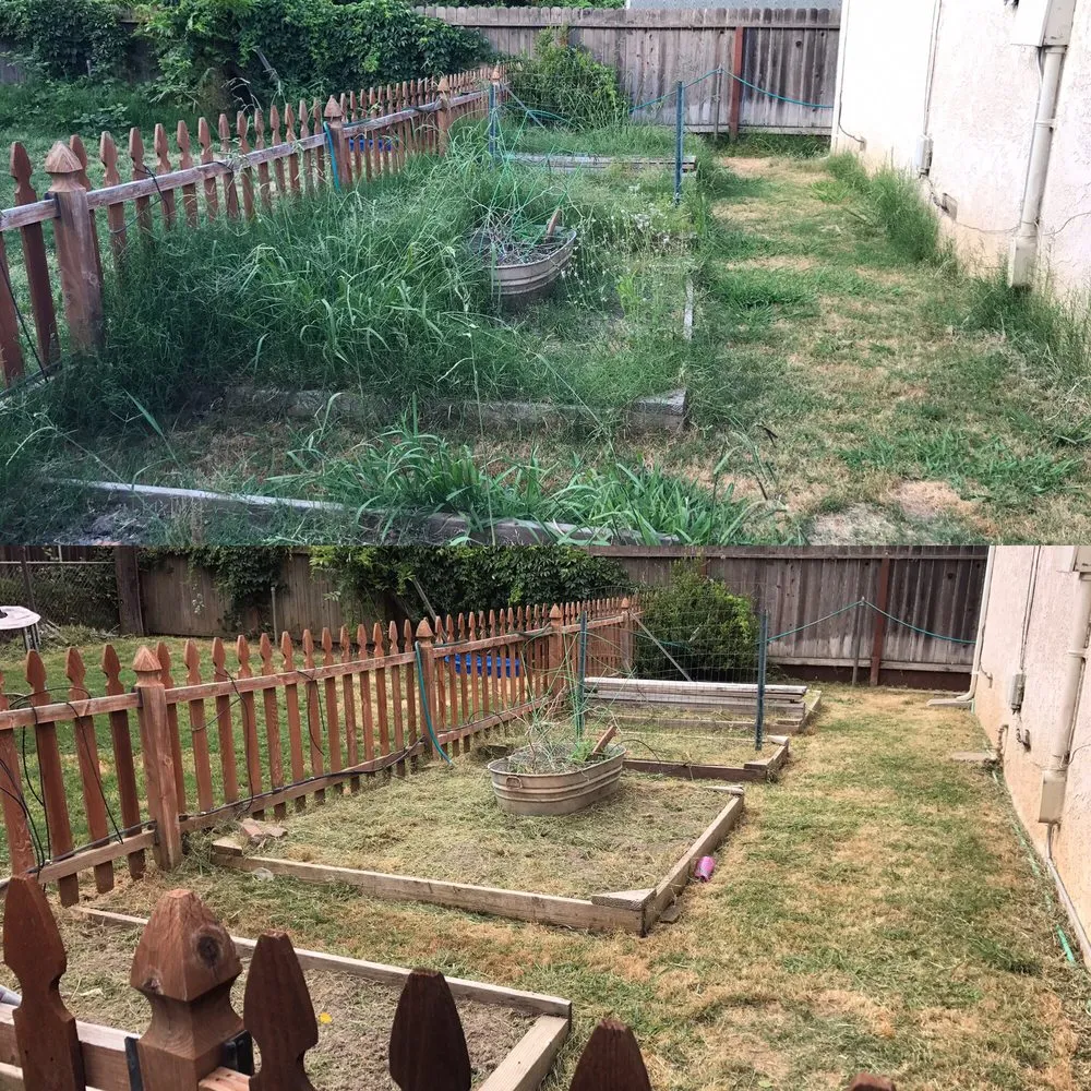 Local lawn mowing service in Elverta, CA by Cruz Landscaping Services