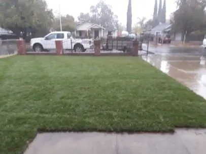 Trusted yard maintenance in Elverta, CA - Cruz Landscaping Services