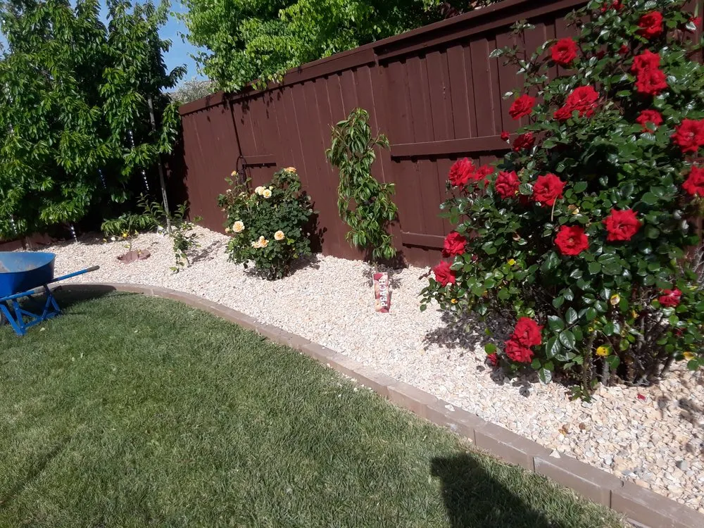 Local garden landscaping in Elverta, CA - Cruz Landscaping Services