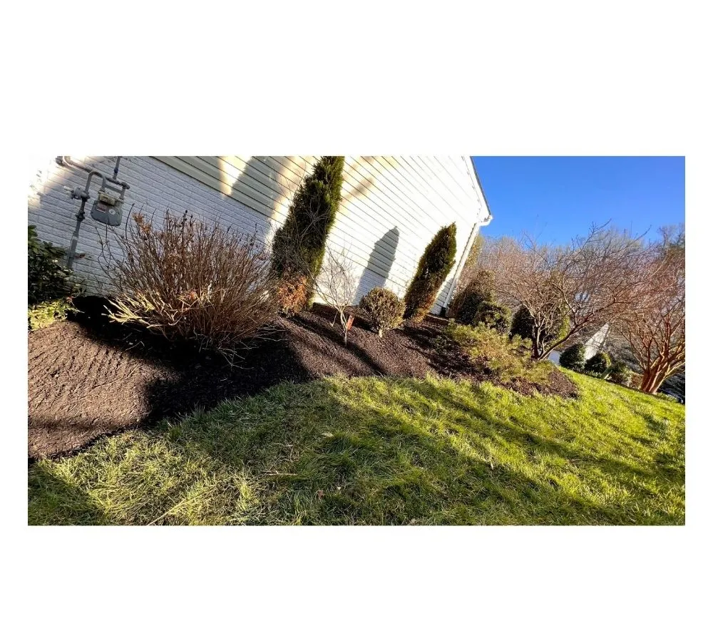 Top-rated landscape design experts serving triangle, VA - Cruz Landscaping