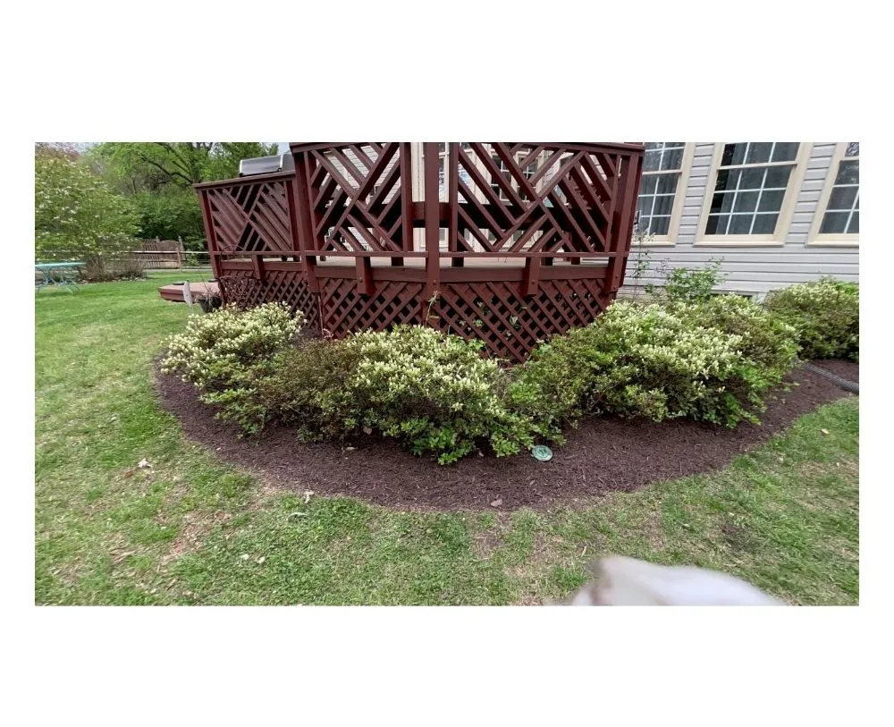 Trusted lawn care service for year-round maintenance across triangle, VA - Cruz Landscaping