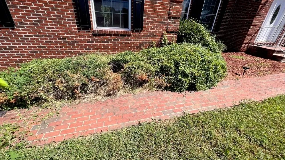 Local lawn mowing service near you across triangle, VA - Cruz Landscaping