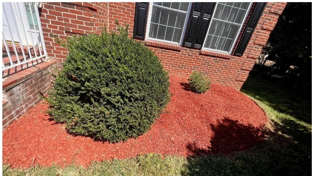 Expert lawn care service in triangle, VA - Cruz Landscaping