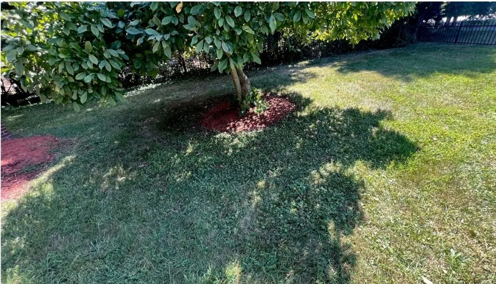 Custom landscaping services in triangle, VA by Cruz Landscaping