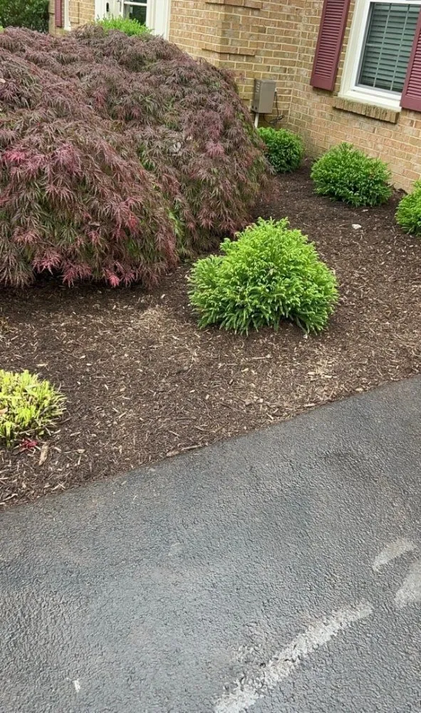 Professional landscape installation for beautiful yards across triangle, VA - Cruz Landscaping