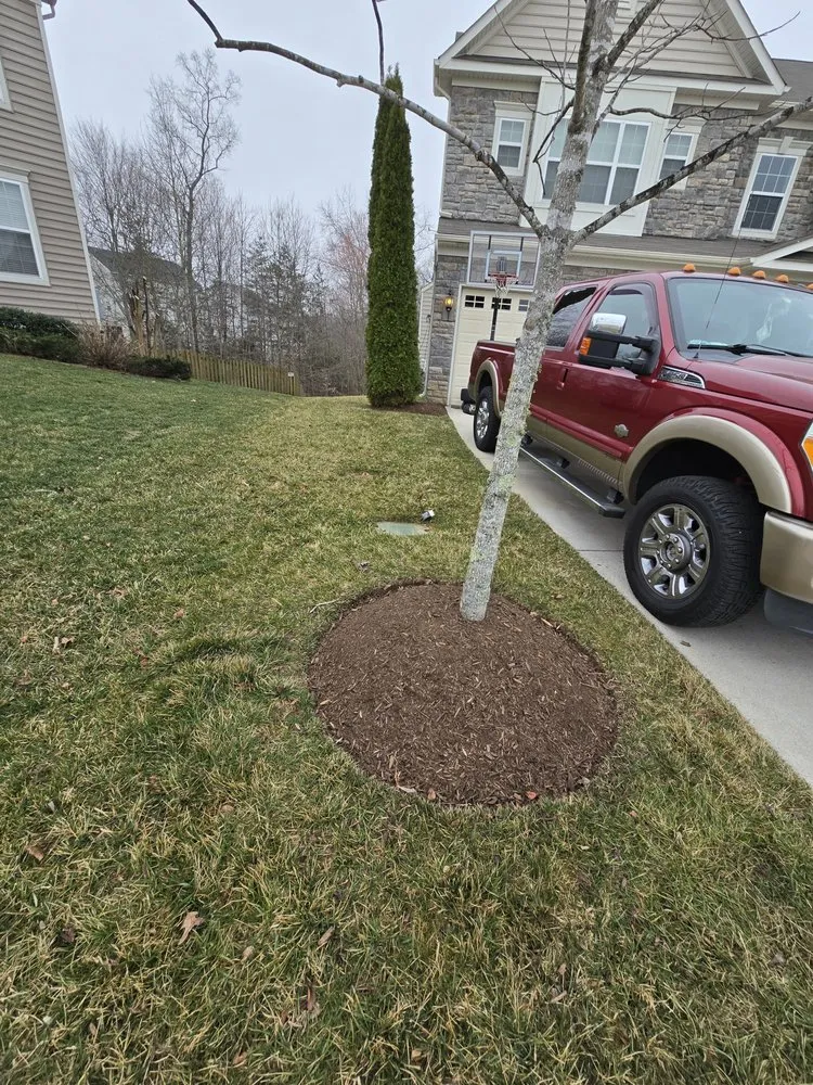 Professional garden landscaping in triangle, VA - Cruz Landscaping