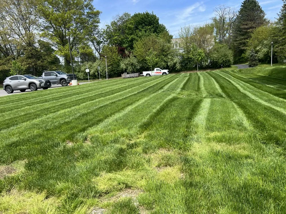 Professional landscape installation in Hudson, NY - Cruz Lansdcaping