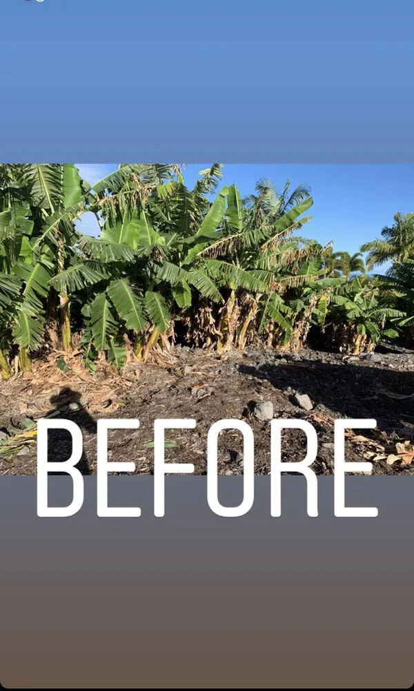 Local lawn care service for residential properties in Holualoa, HI by Cruz Lawn and Landscape