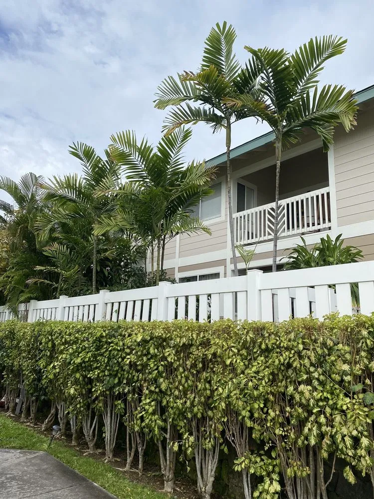 Top-rated landscaping services experts serving Holualoa, HI - Cruz Lawn and Landscape