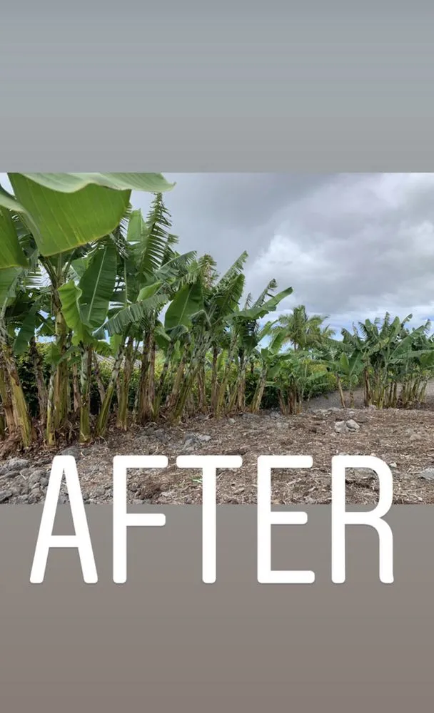 Custom landscaping services in Holualoa, HI by Cruz Lawn and Landscape