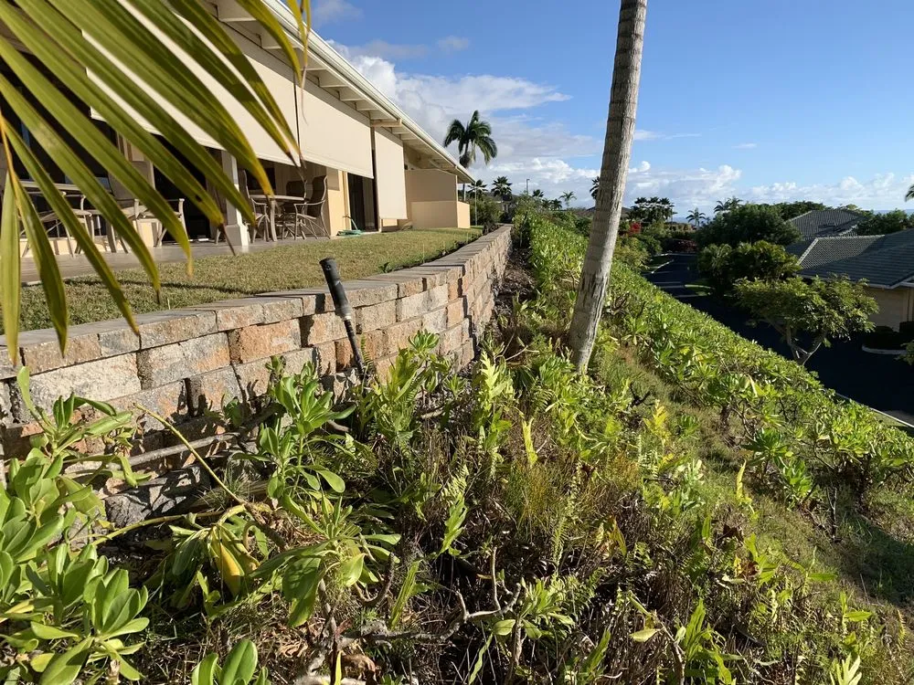 Top-rated landscape design for outdoor upgrades across Holualoa, HI - Cruz Lawn and Landscape