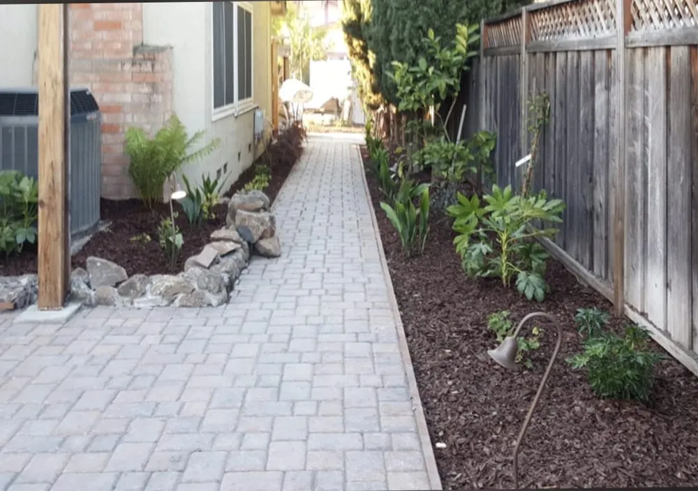 Local yard cleanup service experts serving Holualoa, HI - Cruz Lawn and Landscape