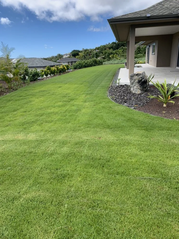 Professional residential landscaping near you in Holualoa, HI by Cruz Lawn and Landscape