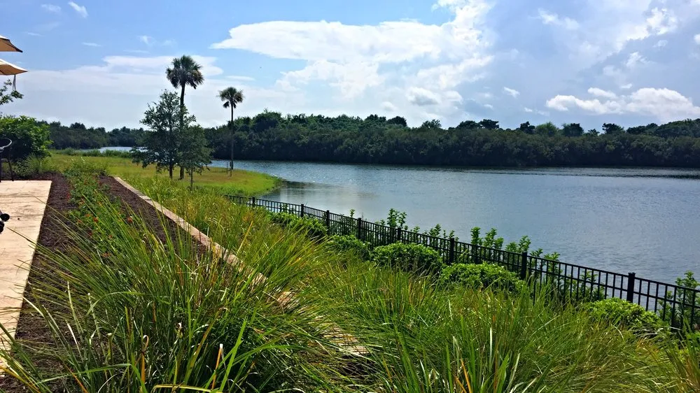 Top-rated outdoor landscaping in Johns Island, SC - Cruz Lawn and Tree