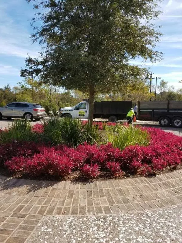 Expert lawn mowing service in Johns Island, SC by Cruz Lawn and Tree
