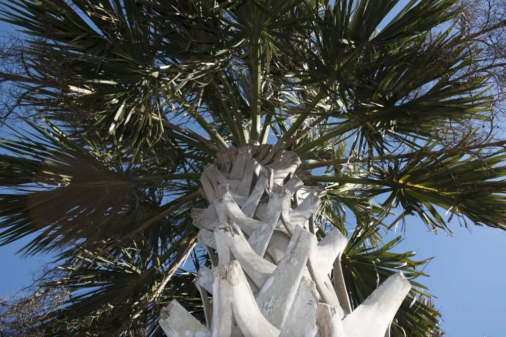 Reliable garden landscaping in Johns Island, SC - Cruz Lawn and Tree