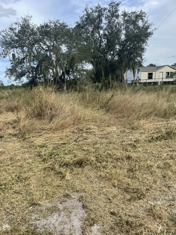 Top-rated garden landscaping in Wauchula, FL by Cruz Lawn Care & More