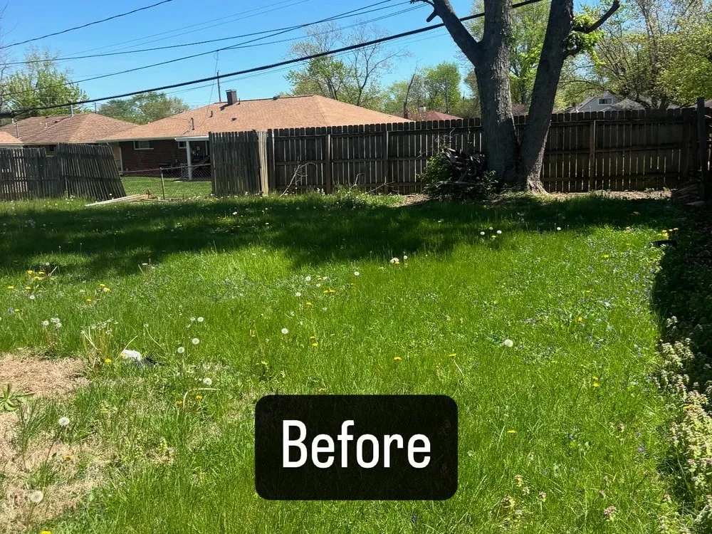 Trusted yard maintenance in New Carlisle, OH by Cruz Lawn Care Service
