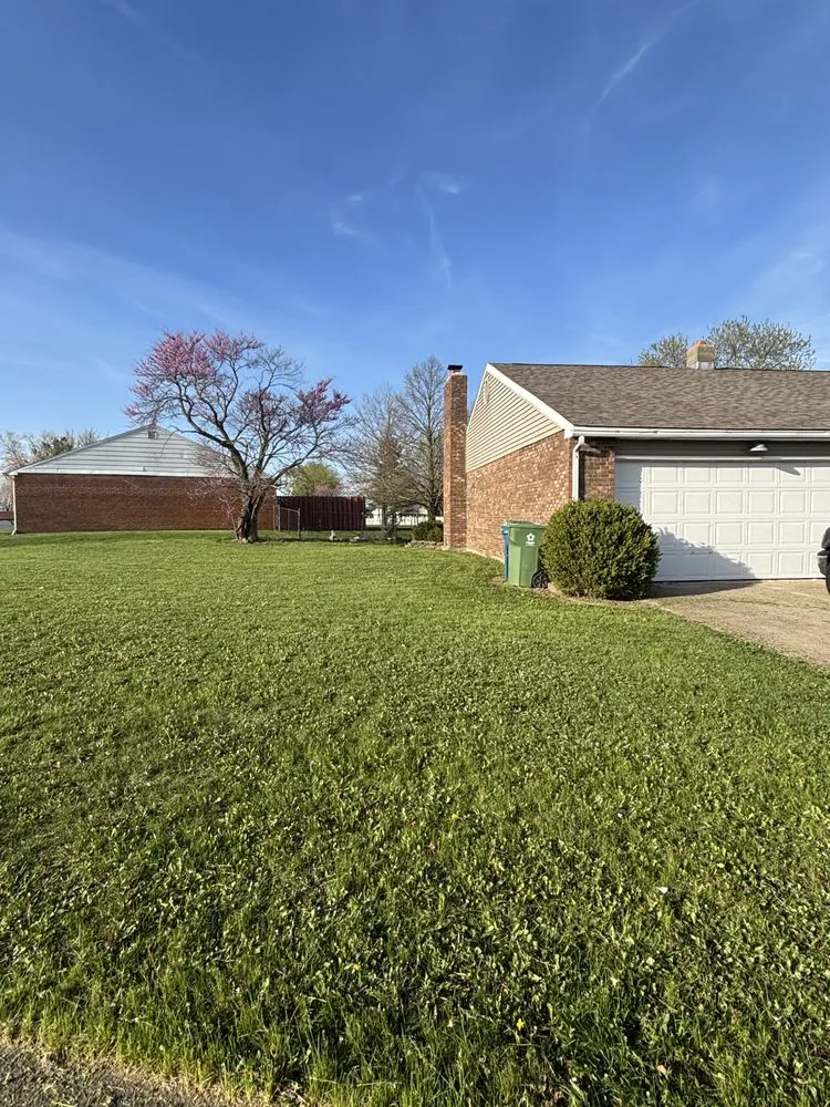 Local yard cleanup service experts serving New Carlisle, OH - Cruz Lawn Care Service