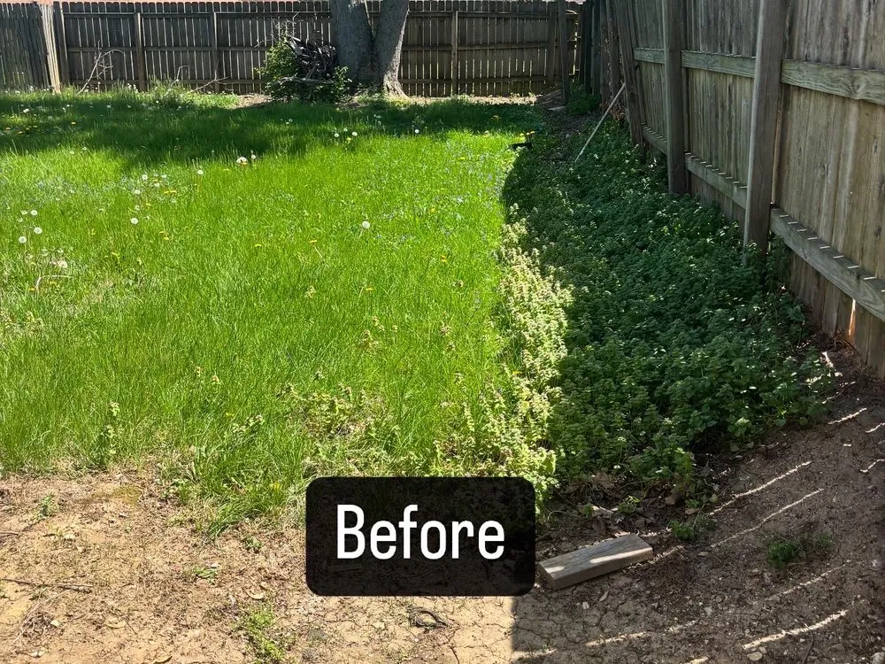 Professional yard maintenance for residential properties across New Carlisle, OH - Cruz Lawn Care Service