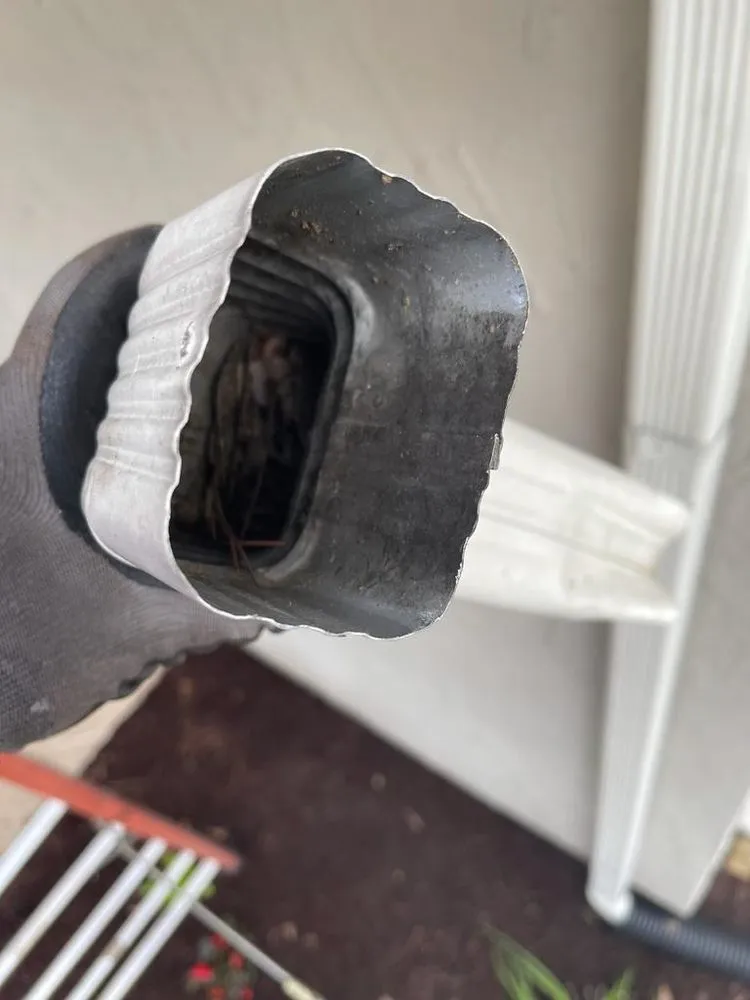 Expert residential landscaping for outdoor upgrades across Houston, TX - Cruz Lawn Service & Landscaping