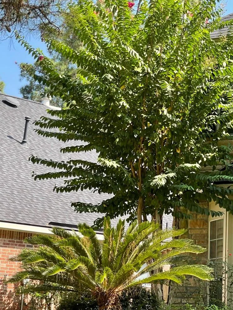 Local garden landscaping for year-round maintenance in Houston, TX by Cruz Lawn Service & Landscaping