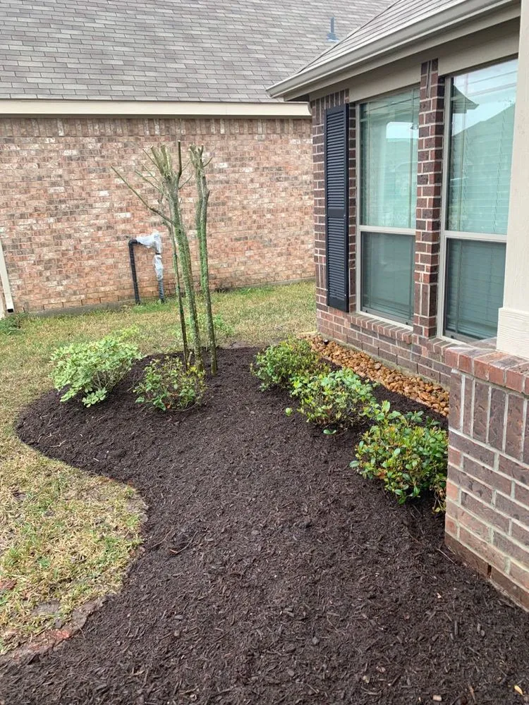 Affordable yard maintenance in Houston, TX by Cruz Lawn Service & Landscaping