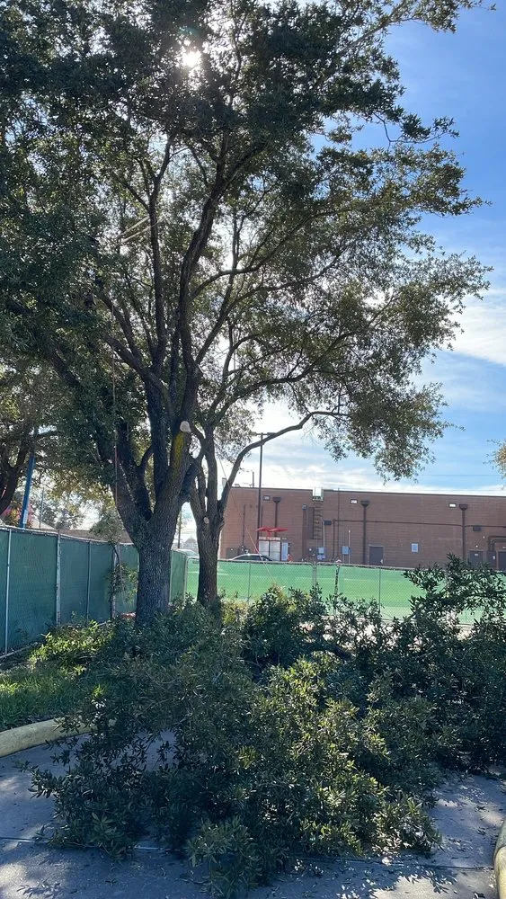 Reliable lawn care service near you across Houston, TX - Cruz Lawn Service & Landscaping