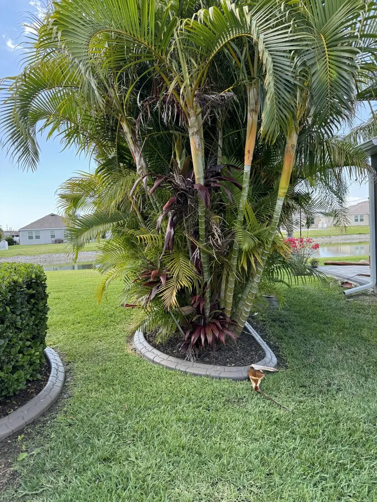 Affordable lawn mowing service experts serving Bradenton, FL - Cruz Lawn Service