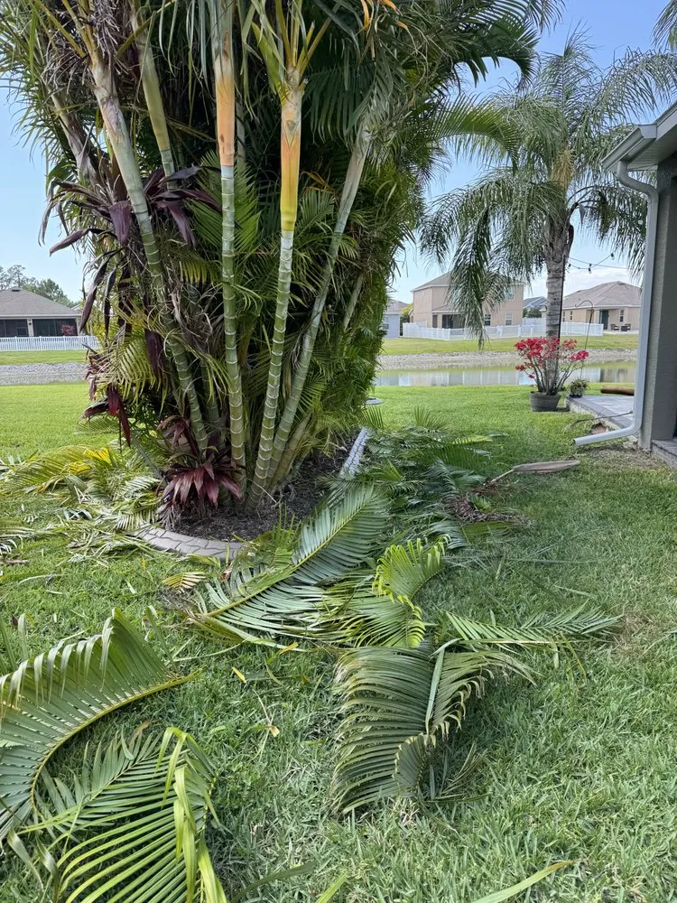 Top-rated lawn care service in Bradenton, FL - Cruz Lawn Service