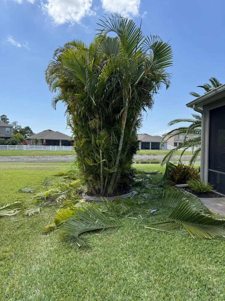 Local lawn mowing service with custom design across Bradenton, FL - Cruz Lawn Service