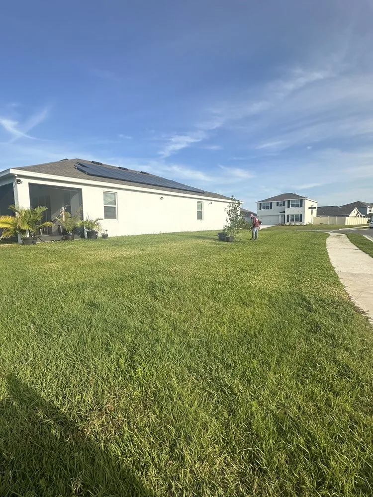 Local landscape installation in Bradenton, FL - Cruz Lawn Service