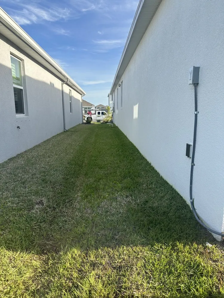 Top-rated yard maintenance for residential properties across Bradenton, FL - Cruz Lawn Service