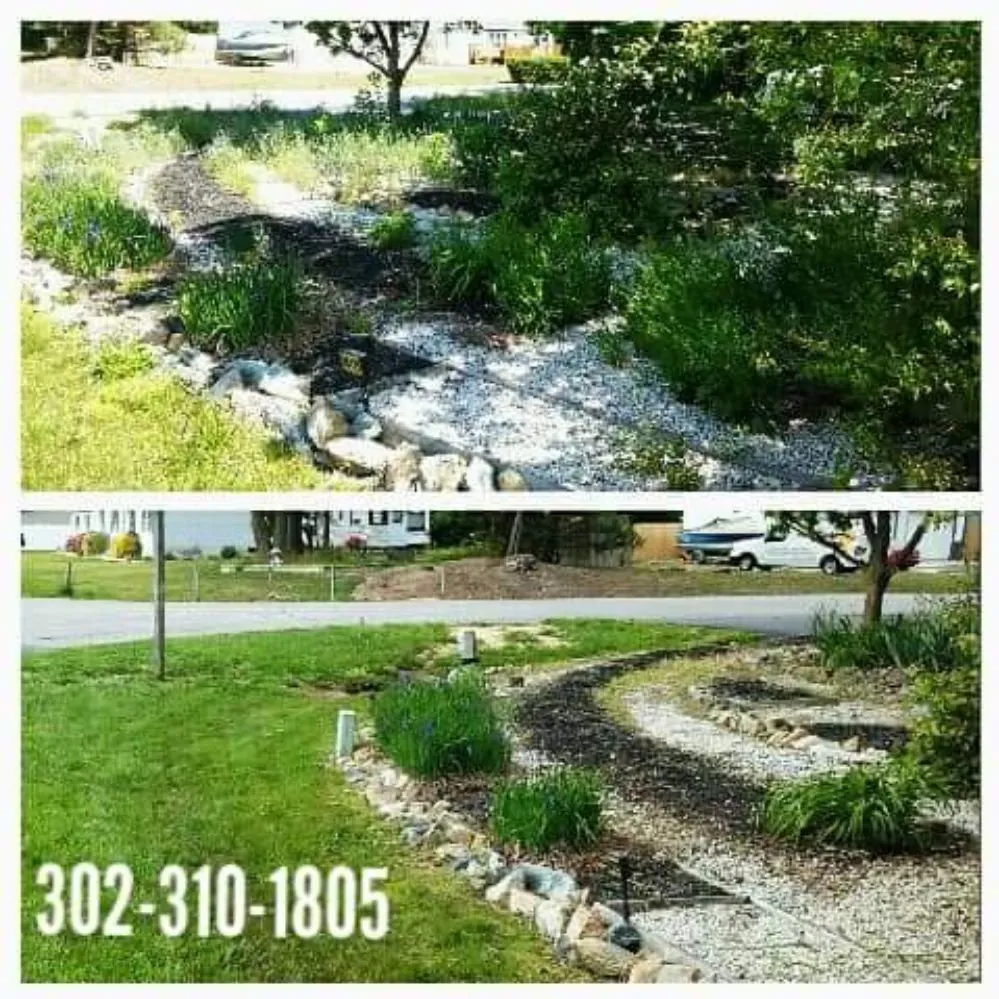 Reliable lawn care service for year-round maintenance across Ellendale, DE - Cruz Lawn Services