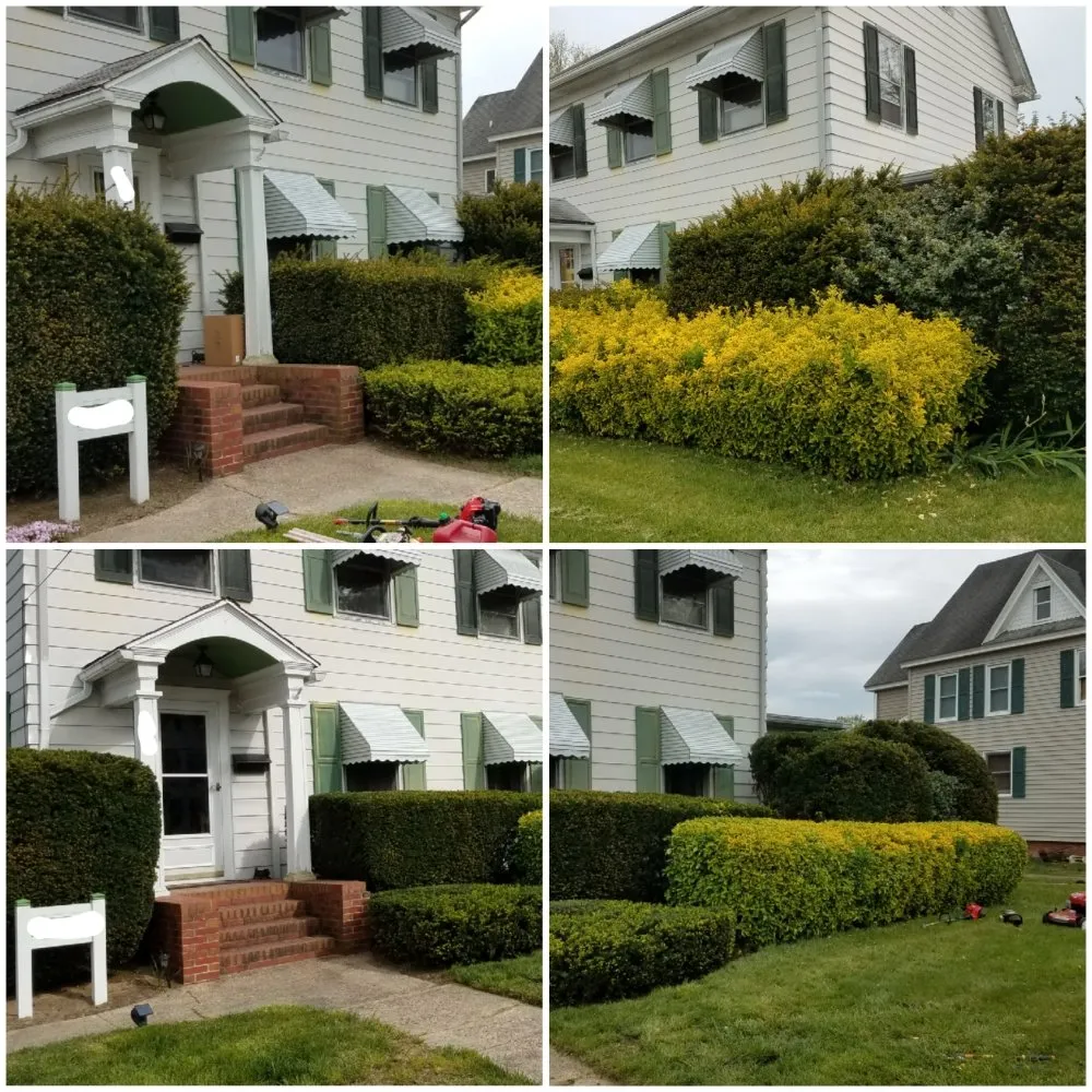 Reliable lawn mowing service in Ellendale, DE by Cruz Lawn Services