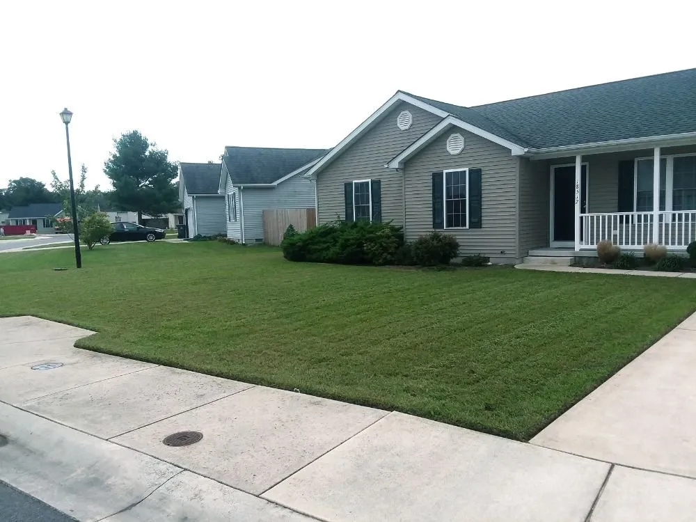 Trusted residential landscaping experts serving Ellendale, DE - Cruz Lawn Services