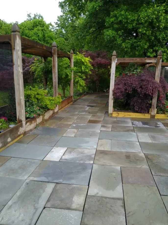 Affordable yard cleanup service experts serving Annapolis, MD - Cruz Lopez Landscaping