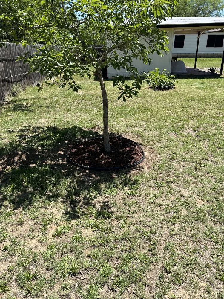 Custom outdoor landscaping experts serving Somerset, TX - Cruz Outdoors services