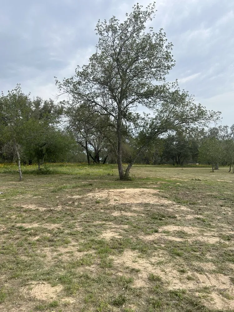 Reliable yard maintenance experts serving Somerset, TX - Cruz Outdoors services